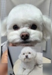 라레랑