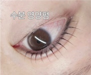 다온뷰티 양산눈썹문신&속눈썹
