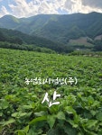 농업회사법인 산