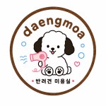 댕모아 애견미용