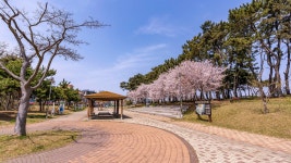 하루펜션