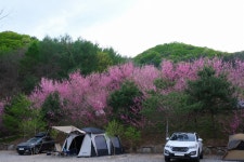 산울림 관광농원