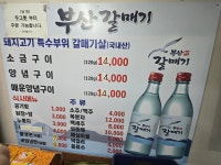넘버원부산갈매기투어 | 부산갈매기