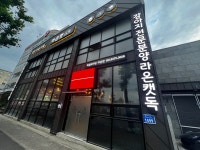 라온캣독 대전강아지분양 고양이분양