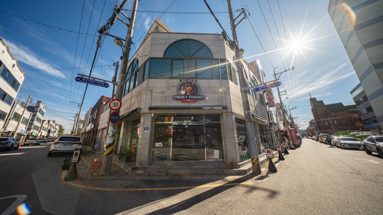 치키프렌즈