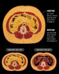 헤이든필라테스북 | 헤이 필라테스&요가