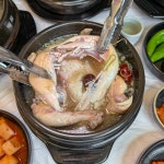 본가한방삼계탕