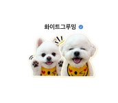 화이트그루밍