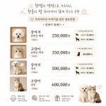 멍멍할고양