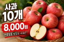 대한청과