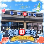 동해회포차