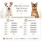 멍멍할고양