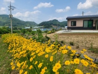 나도민박