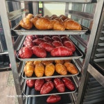 푸디스트