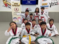 석사경희대태권도
