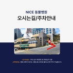 니스동물병원