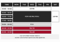 팀훅 복싱 & 주짓수