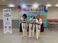 석사경희대태권도