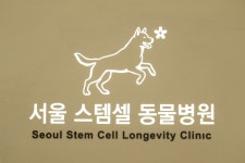 서울스템셀동물병원