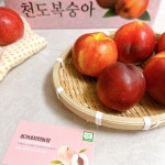권가네자연농장