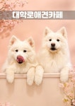 대학로애견카페