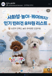 반려견호텔 로젯펫살롱 세인트존스호텔점