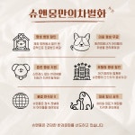 동탄강아지분양 전문 슈앤몽 본점