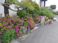 마로니파크
