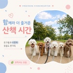 프리랑애견유치원호텔