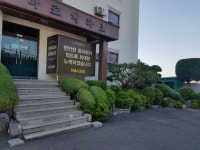 마로니파크