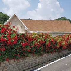 선한시민교회