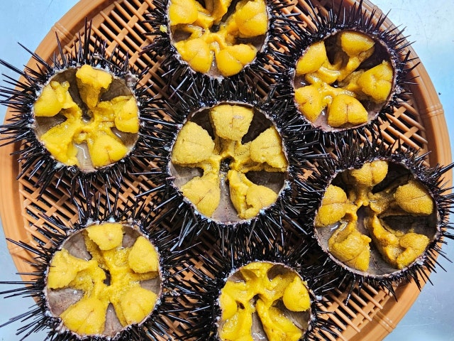 바코포차