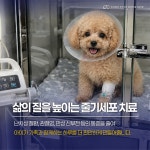 이스턴동물의료센터