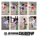 프리미엄태권마루태권도장