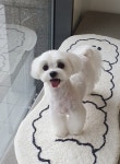 아르멍