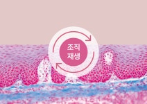 강민한의원