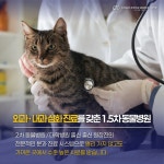 이스턴동물의료센터