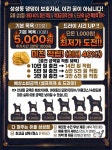 유폴24시애견셀프목욕 천안성성점