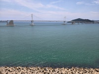 스테이온