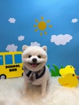 동이몽이