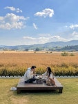 죽림주간
