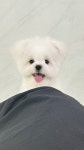 아콩하우스