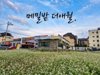 더애월 노형점