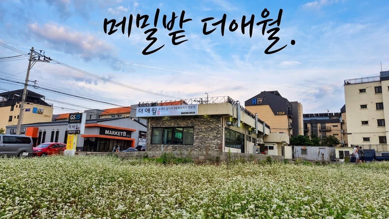 더애월 노형점