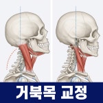 더의선한의원