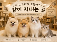 라이크캣