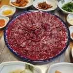 청뜰해