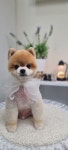 슬로독