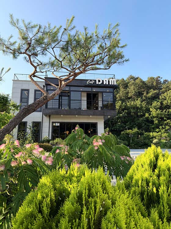 카페담 사진