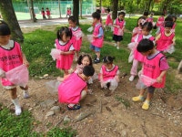 푸른숲유치원
